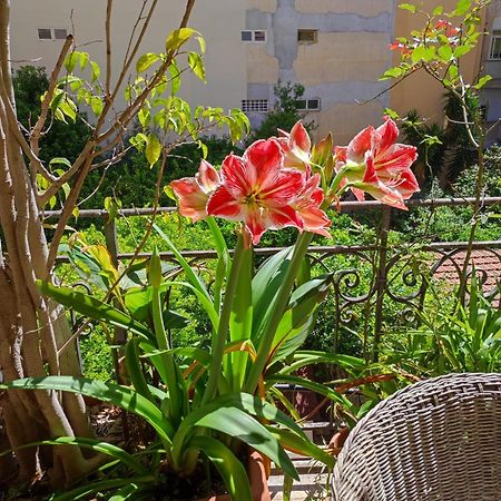 パレルモCuba'S Art Houseアパートメント エクステリア 写真